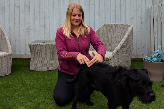 McTimoney Chiropractic Care for Dogs in Pilning