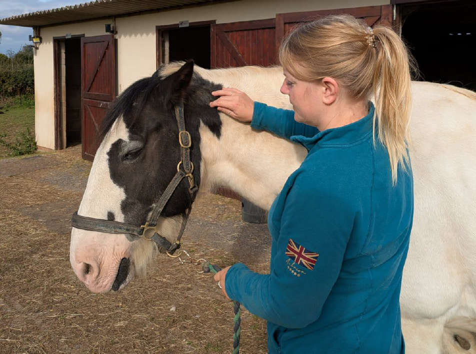 Professional Horse & Dog Chiropractor in Pilning