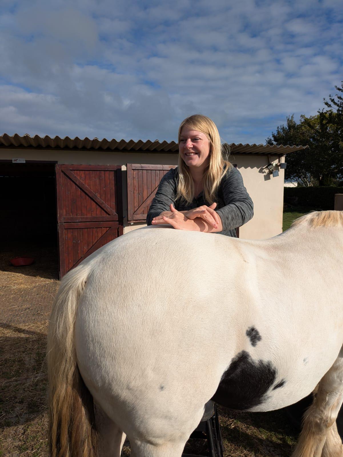 Chiropractic Care for Horses