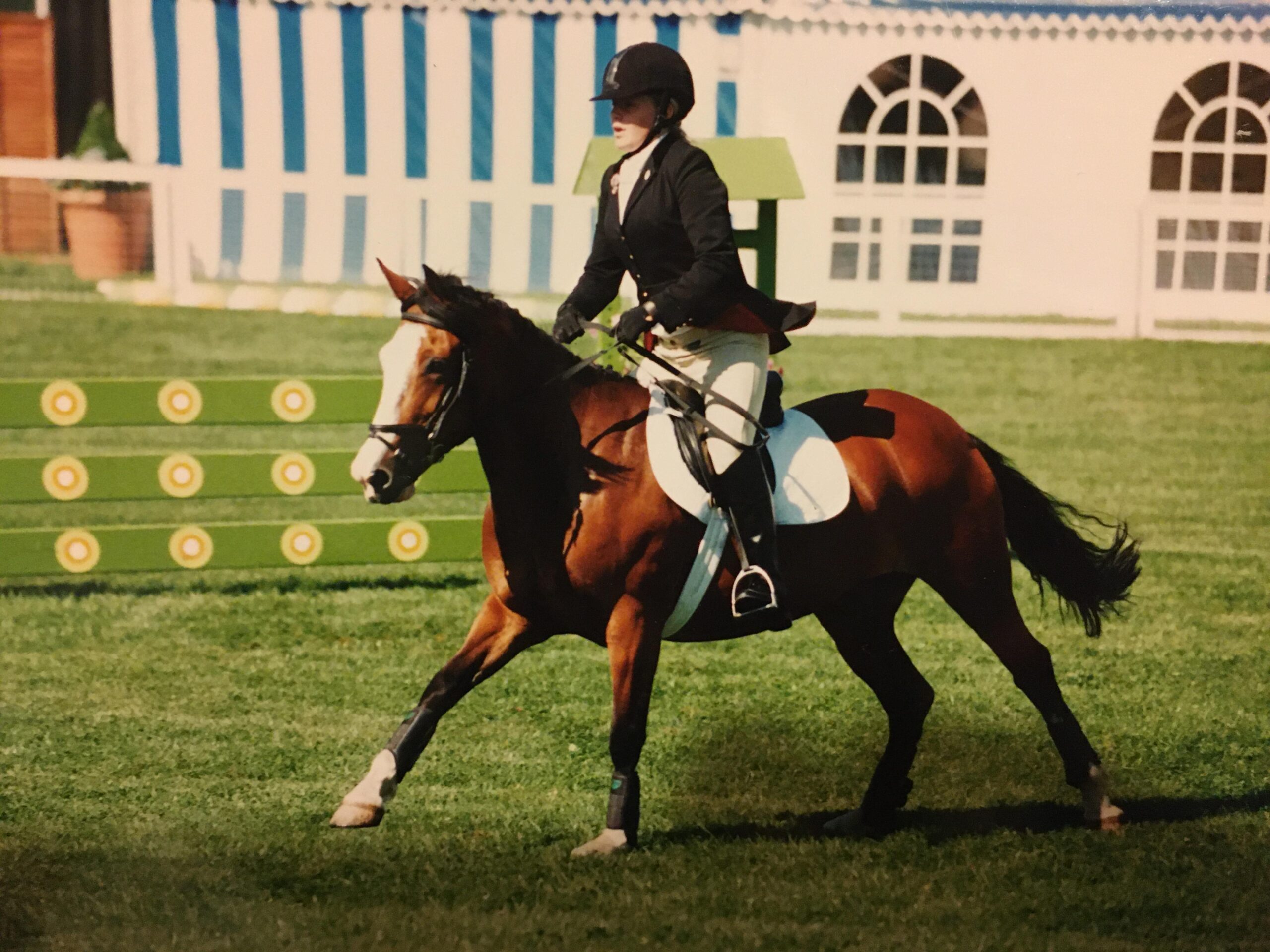 McTimoney Animal Therapy in Pilning